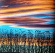 Biodanza Couleurs