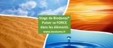 Stage Biodanza® les Quatre éléments dans notre identité