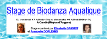 Stage de BIODANZA AQUATIQUE - Août 2025